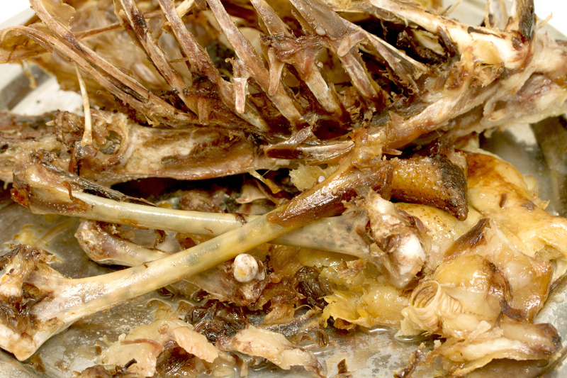 waste removal waste disposal